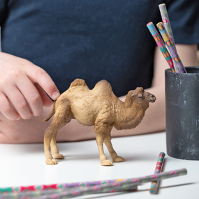 Chameau de Bactriane Papo en PVC, Collection Animaux sauvages, jouet éducatif idéal pour enfants et collectionneurs