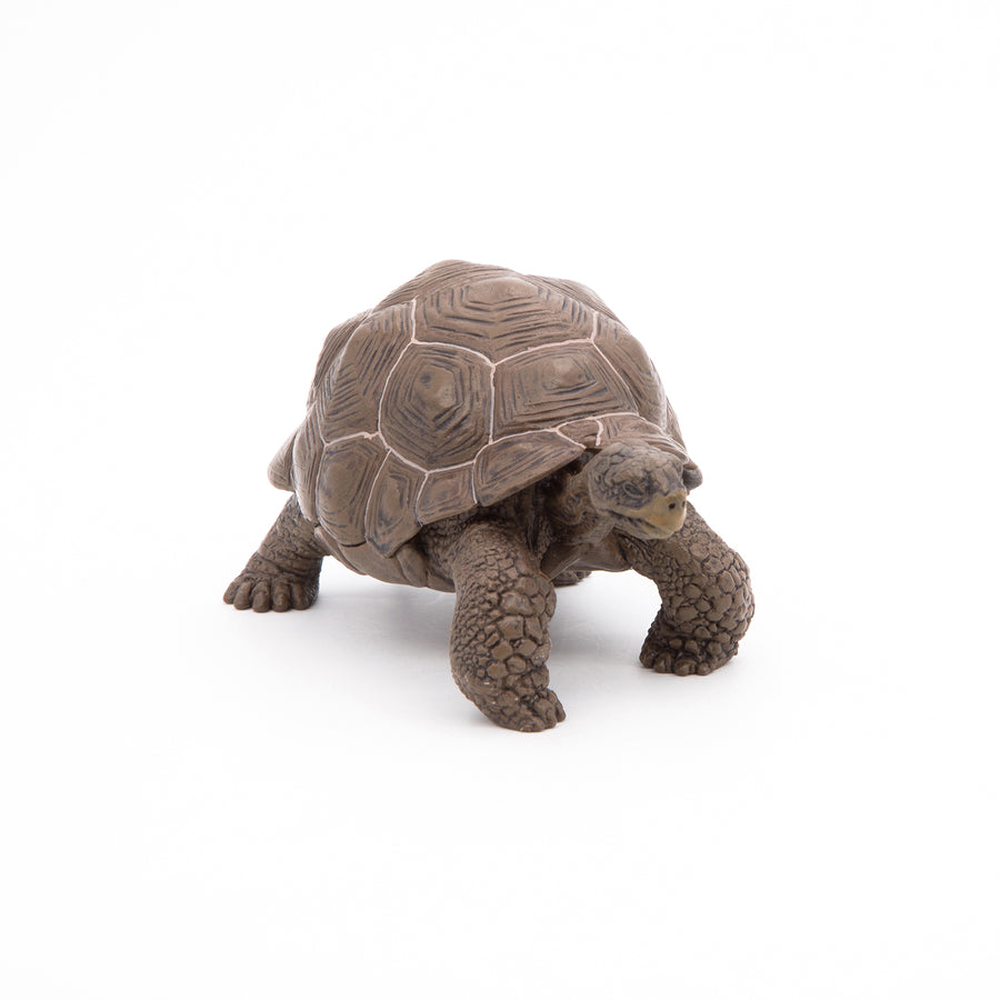Figurine Tortue des Galápagos Papo en PVC, thème reptiles, Collection Animaux sauvages, jouet éducatif idéal pour enfants et collectionneurs