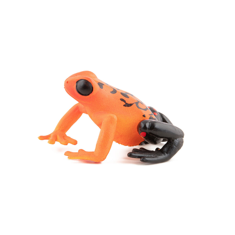 Grenouille équatoriale rouge Papo en PVC, Collection Animaux sauvages, jouet éducatif idéal pour enfants et collectionneurs