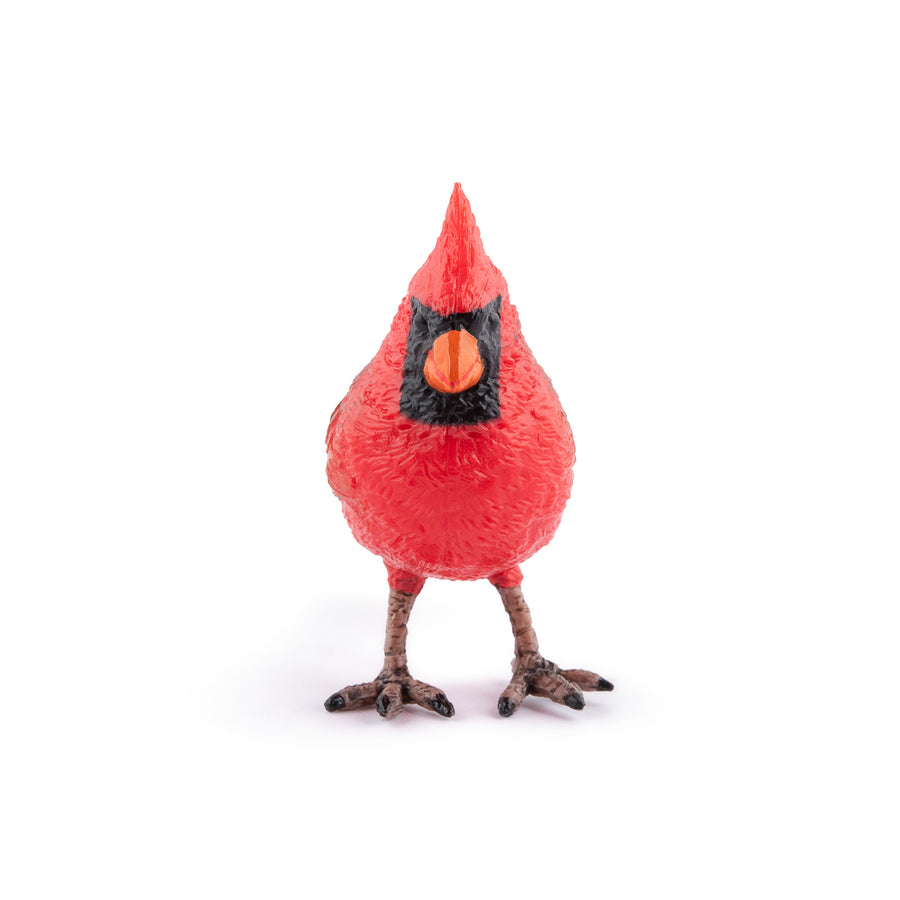 Figurine Cardinal rouge Papo en PVC, thème oiseaux, Collection Animaux des jardins, jouet éducatif idéal pour enfants et collectionneurs