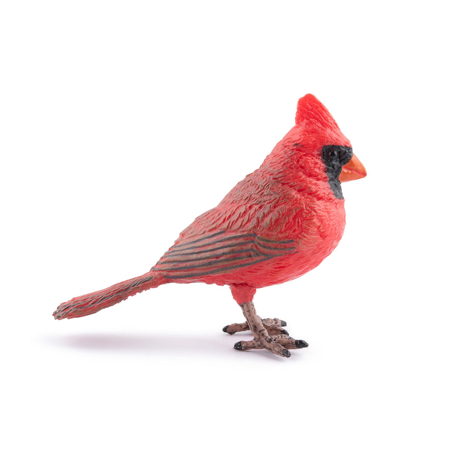 Figurine Cardinal rouge Papo en PVC, thème oiseaux, Collection Animaux des jardins, jouet éducatif idéal pour enfants et collectionneurs