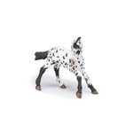 Poulain appaloosa noir Papo en PVC, Collection chevaux, jouet éducatif idéal pour enfants et collectionneurs