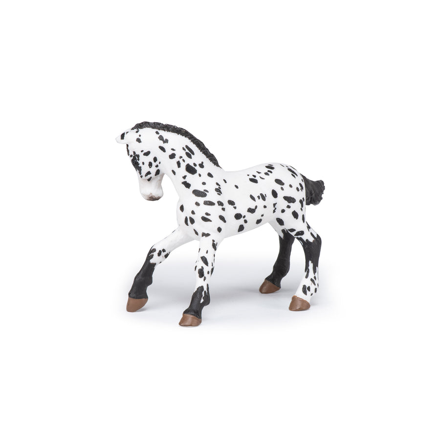 Poulain appaloosa noir Papo en PVC, Collection chevaux, jouet éducatif idéal pour enfants et collectionneurs