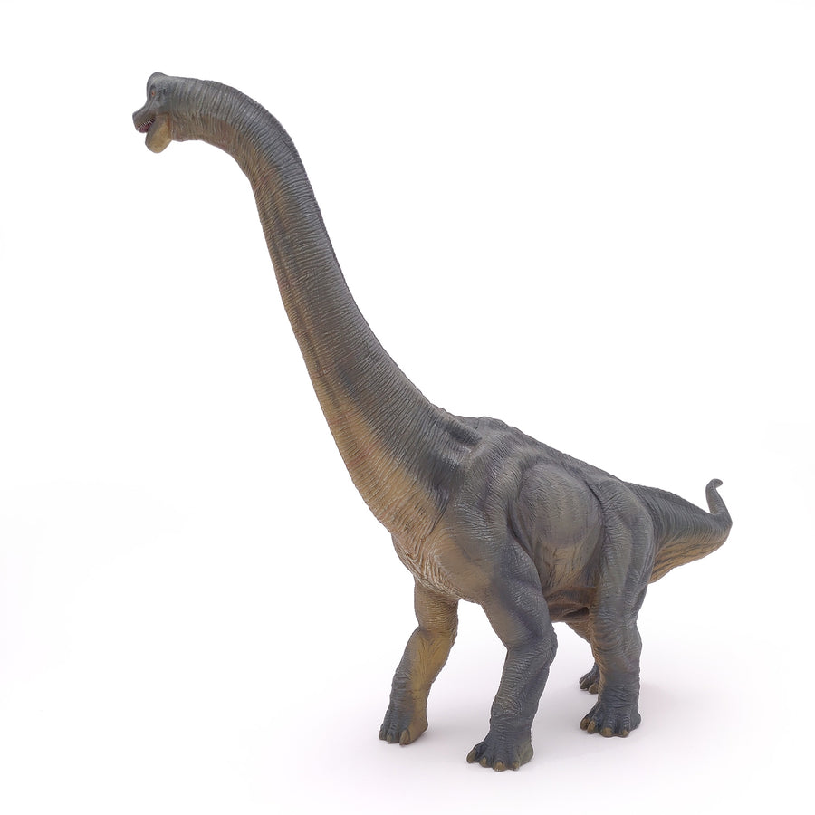 Brachiosaure Papo en PVC, Collection Dinosaures, jouet éducatif idéal pour enfants et collectionneurs
